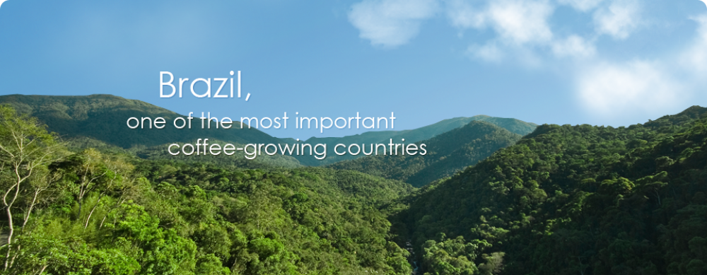 Brazil